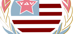 Young American Veterans (Y.A.V. Nation)