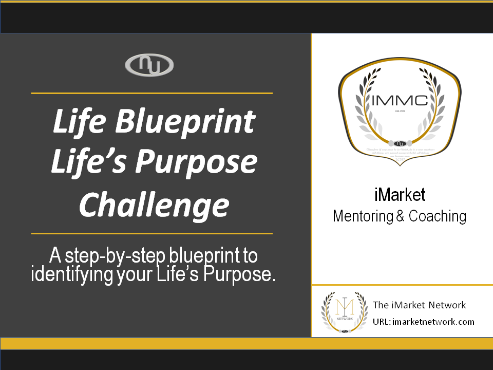 Life Blueprint - Lifes Purpose Challenge